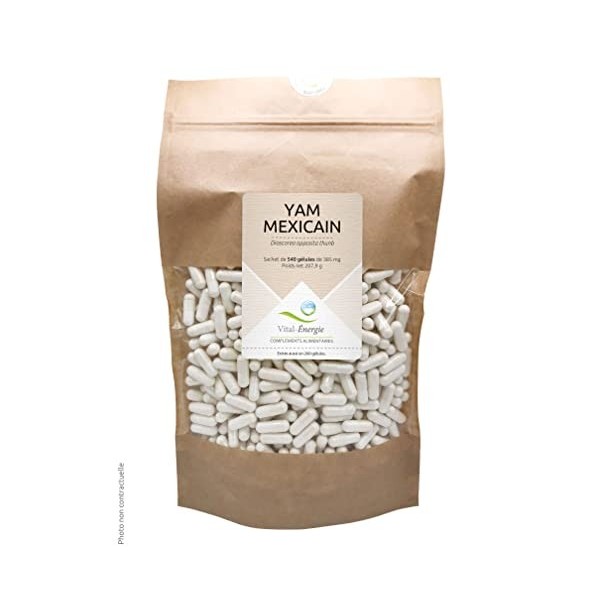 Vital-Energie Yam Mexicain 540 gélules