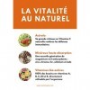 FORMULE FORME et VITALITÉ | Multivitamines et Minéraux haute absorption | Acérola 100% naturel | 100% des apports en Vitamine