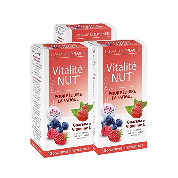 D.PLANTES - Vitalité-Nut - Complément Alimentaire Multivitamines et Minéraux - Tonus, Vitalité - Goût Fruits Rouges - 3 x 30 