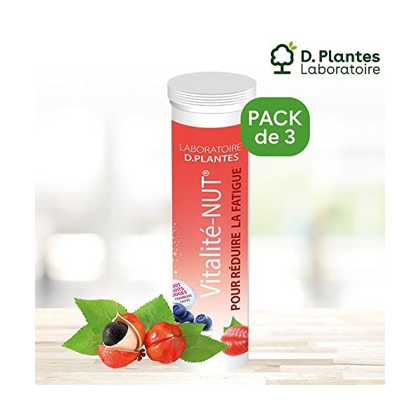 D.PLANTES - Vitalité-Nut - Complément Alimentaire Multivitamines et Minéraux - Tonus, Vitalité - Goût Fruits Rouges - 3 x 30 