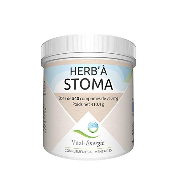 Vital-Energie Herbà Stoma 540 comprimés