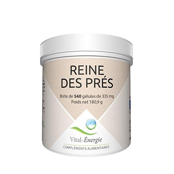 Vital-Energie Reine des Prés 540 gélules