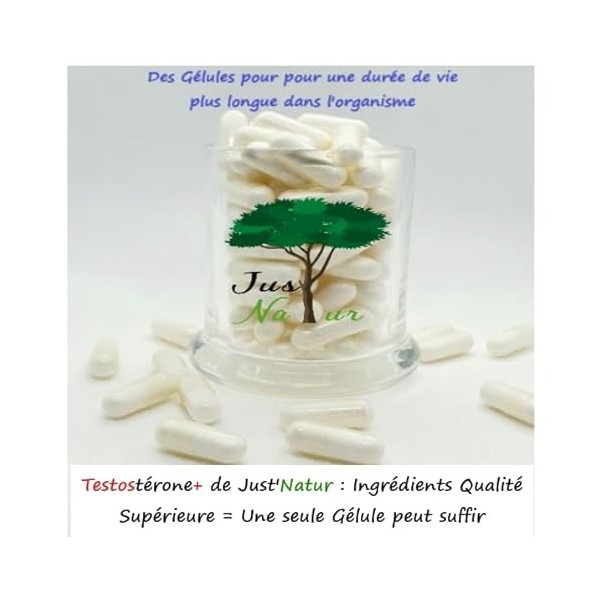 JustNatur-TESTOSTÉRONE Homme- Ingrédients Natuels-Qualité Supérieur-Nouvelle Formule-6 Nutriments-Riche en Zinc-Fenugrec-Ton