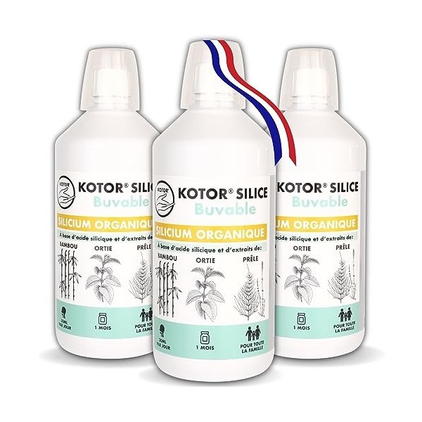 KOTOR SILICE BUVABLE 1L | Lot de 3 | Silicium Organique Francais & Naturel | Santé des Articulations, Cartilages, Os, Peau, C