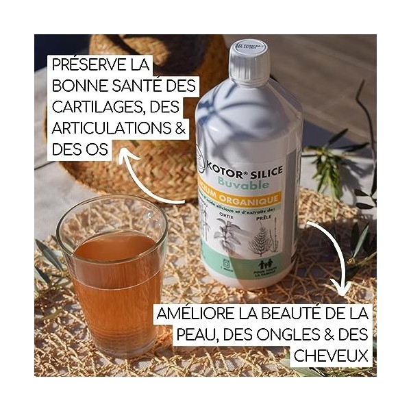 KOTOR SILICE BUVABLE 1L | Lot de 3 | Silicium Organique Francais & Naturel | Santé des Articulations, Cartilages, Os, Peau, C