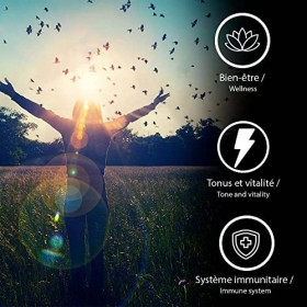 FER Bisglycinate Haute Absorption, 14mg 100% des besoins/jour , Aide à Réduire la Fatigue & Retrouver Forme et Tonus, 60 gel