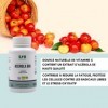 SFB Laboratoires - Acerola Bio - Riche en Vitamine C et Vitamines - Réduit la Fatigue - 60 comprimés