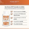 Peak ATP adénosine triphosphate - Aide à Réduire la Fatigue et Augmenter la Force - Boost d’Energie - Une Forme d’ATP Breve