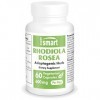 Rhodiola rosea - Extrait Supérieur de Rhodiole - Anti Stress - Améliore l’endurance physique - 100% Rhodiola - Complément ali