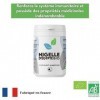 Nigelle dEgypte certifié bio par ecocert en labo français-120 gélules-400mg/gélule-cumin noir bio-superaliment immunisant