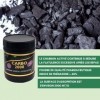 SFB Laboratoires - Charbon Végétal Super Activé en granulés - Carbo 2000 - Idéal pour Cure de Détoxification - 450g