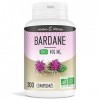 Herbes Et Plantes Bardane Bio 200 Comprimés 400 mg