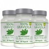 3 x 60 pcs./400mg ORGANIC COROSSOL - Bio & Vegan- Directement de fabricant Graviola.de