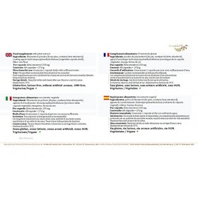 Pack de 3 Vita World Bêta-Sitostérol 3 x 60 Capsules Hautement Dosé à partir de Pin – Phytostérols - Végétarien/Vegan Made in