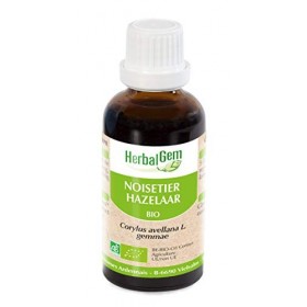 Pranarôm HERBALGEM - Macérât-Mère - Noisetier Bio - Complément Alimentaire Gemmothérapie Concentrée - Extrait De Bourgeon Fra