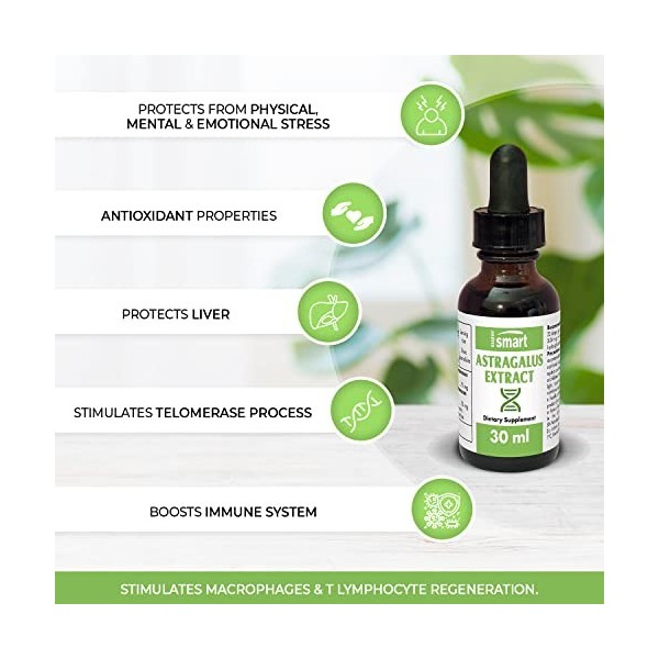 Astragalus Extract 30mL - Soutient les Défenses Naturelles - Plus Grande Résistance - Extrait dAstragale Standardisé à 16% d