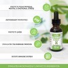 Astragalus Extract 30mL - Soutient les Défenses Naturelles - Plus Grande Résistance - Extrait dAstragale Standardisé à 16% d