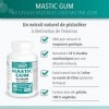 Mastic Gum - Contribue à Protéger la Muqueuse Gastrique - Gomme de Mastic - Résine de Mastic Standardisée à 35 % d’Acides Mas