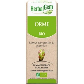 Pranarôm HERBALGEM - Macérât-Mère - Orme Bio - Complément Alimentaire Gemmothérapie Concentrée - Extrait De Bourgeon Frais - 