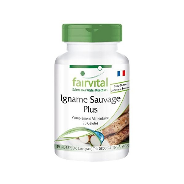 Fairvital | Ignames sauvages et plus - boite de 3 mois - VEGAN - Fortement dosé - 90 capsules -racine d´ignames avec vitamine