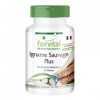 Fairvital | Ignames sauvages et plus - boite de 3 mois - VEGAN - Fortement dosé - 90 capsules -racine d´ignames avec vitamine