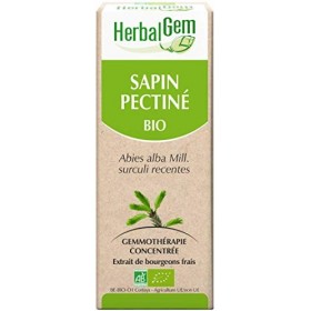 HERBALGEM - Macérât-Mère - Sapin Pectiné Bio - Complément Alimentaire Gemmothérapie Concentrée - Extrait De Bourgeon Frais - 