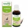 HERBALGEM - Macérât-Mère - Sorbier Bio - Complément Alimentaire Gemmothérapie Concentrée - Extrait De Bourgeon Frais - Pour T