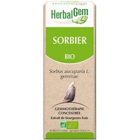 HERBALGEM - Macérât-Mère - Sorbier Bio - Complément Alimentaire Gemmothérapie Concentrée - Extrait De Bourgeon Frais - Pour T
