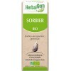 HERBALGEM - Macérât-Mère - Sorbier Bio - Complément Alimentaire Gemmothérapie Concentrée - Extrait De Bourgeon Frais - Pour T