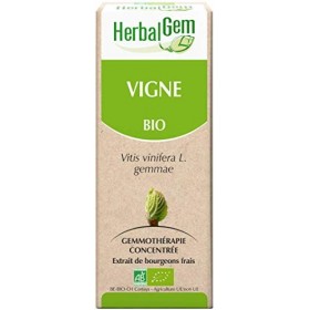 Pranarôm HERBALGEM - Macérât-Mère - Vigne Bio - Complément Alimentaire Gemmothérapie Concentrée - Extrait De Bourgeon Frais -