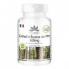 Extrait décorce de pin 500mg - hautement dosé - vegan - 100 comprimés - avec vitamine C | HERBADIREKT by Warnke Vitalstoffe