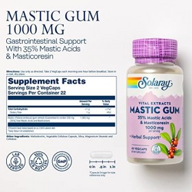 Solaray Mastic Gum Extrait 500&nbsp;Mg, boite de 45 capsules