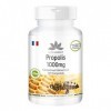 Propolis 1000mg - dosage élevé - 120 comprimés - avec 3% de Galangin | HERBADIREKT by Warnke Vitalstoffe