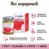 PROPOLIA - Énergie Vitale - Miel / Propolis / Gelée Royale / Acérola / Papaye / Ginseng - Tonus et immunité - Complément alim