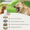 Spray Propolis pour Chien et Chat 100ml |Spray Buccal | Soulage les Maux de Gorge et stimule les Défenses Immunitaires | Sans