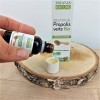 Extrait de Propolis Verte hydroalcoolique Bio