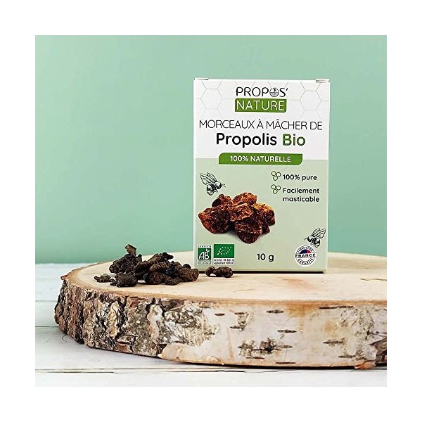 Propos Nature - Propolis Pure À  Mcher Bio Certifiée Ab - Contenance : 10G