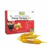 Force Tonique - 7 actis énergisant - Guarana, Ginseng, Acérola, Miel, Gelée Royale, Pollen, Propolis - 10 ampoules de 10 ml -