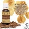 20ml NORDBIENCHEN teinture de propolis - avec 30% propolis - venue directement de lapiculteur