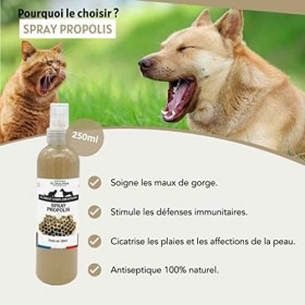 Floralpina Spray Propolis pour Chien et Chat 250ml |Spray Buccal | Soulage Les Maux de Gorge et stimule Les Défenses Immunita