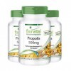 Fairvital | Propolis Extrait 500mg - 3 x 60 Capsules - normalisé à 3% de galangine - Propolis naturel