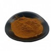 Propolis Pure En Poudre 50gr