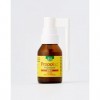 Esi Propolaid Propolgola - Spray anti-inflammatoire pour la gorge à base de propolis, de sisymbre officinal et de miel de Man