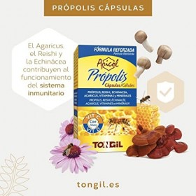 Propolis Gélules 12% Flavonoïdes | Formule Renforcée Avec Reishi, Echinacea, Agaricus | Enrichi en Cuivre, Fer, Vitamine C et