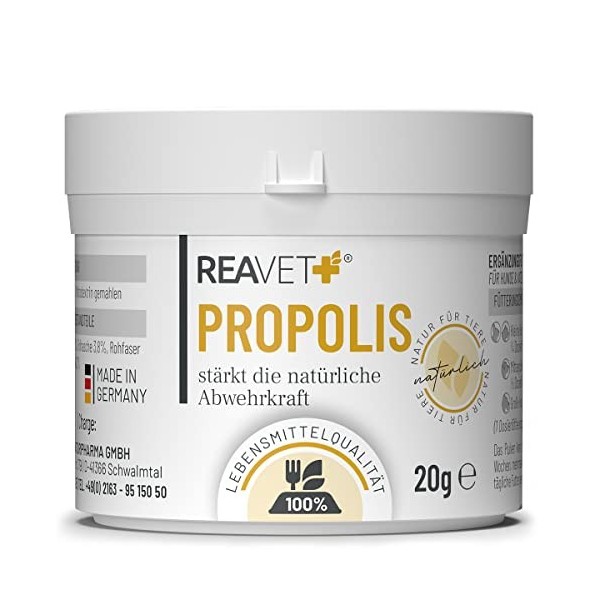 Poudre de Propolis REAVET pour Chiens et Chats 20g - de qualité Alimentaire, Soutien Naturel du système immunitaire et de la 