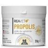 Poudre de Propolis REAVET pour Chiens et Chats 20g - de qualité Alimentaire, Soutien Naturel du système immunitaire et de la 