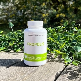 Laboratoire Beauchamp - Complément alimentaire PROPOLIS - 60 gélules - Trésor de la ruche - Bouclier naturel - Idéal en hiver