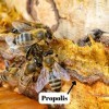LAbella Mel - Miel à la Propolis Naturelle de la Vallée de Jalon Costa Blanca Espagne | Apithérapie au Pollen Sec Naturel Pu