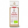 Ballot-Flurin - Spray Sourire - Propolis Blanche - Fabriqué en France - Certifié Paléo - 15ml