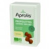 Gommes Bio Nature pour la Gorge - Propolis - 50g